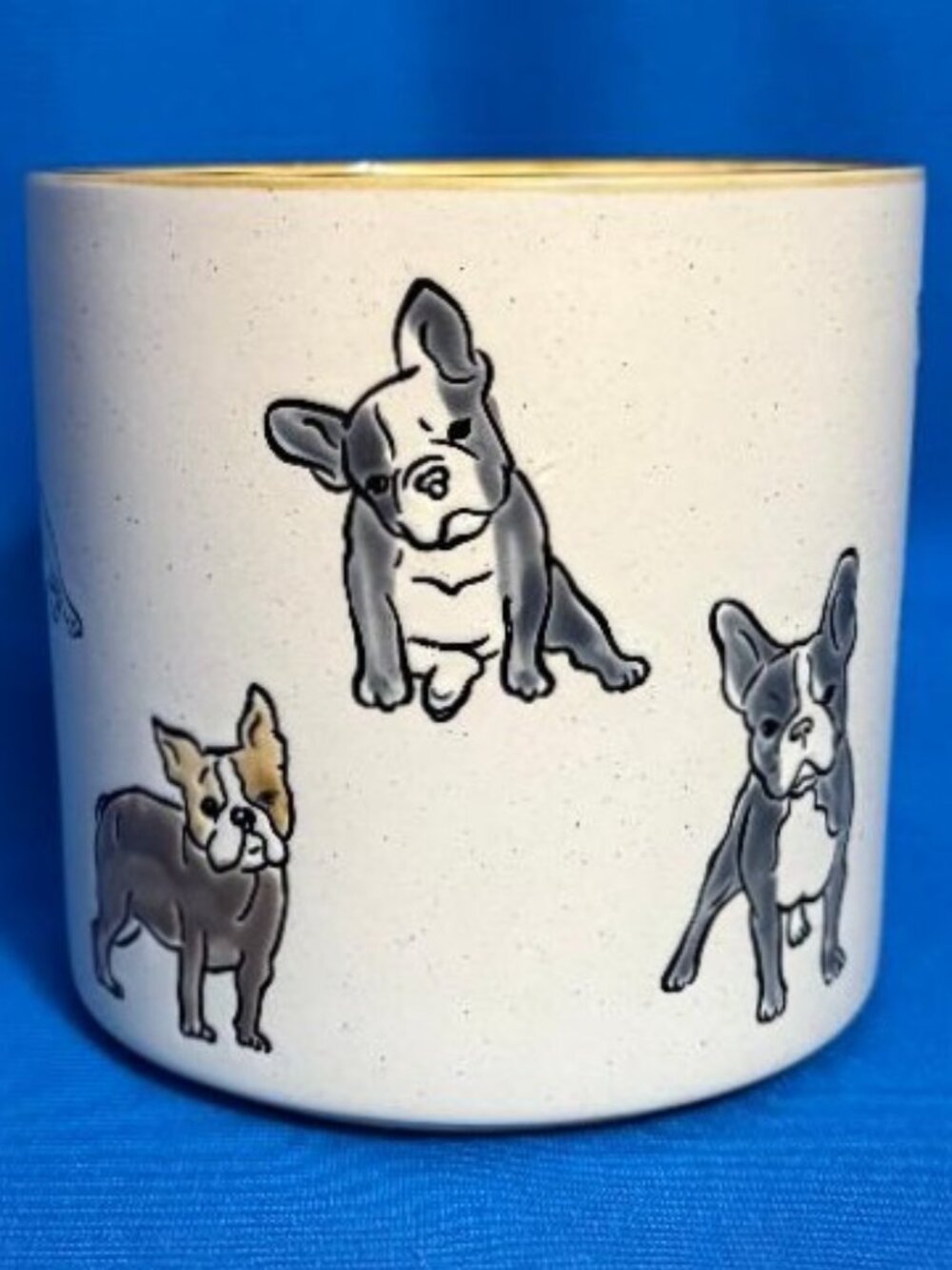 NEW SMALL CANISTER / PLANTER PLANT POT FRENCHIE FRENCH BULLDOG / BOSTON TERRIER